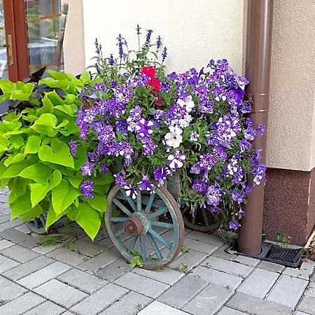 Dvoupokojovy S Kuchynskym Koutem Kutná Hora